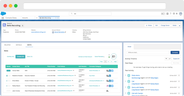 salesforce integration - ebsta - www.ruleranalytics.com