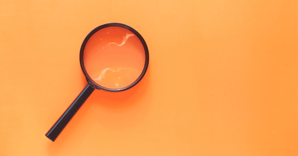 how to track leads in HubSpot